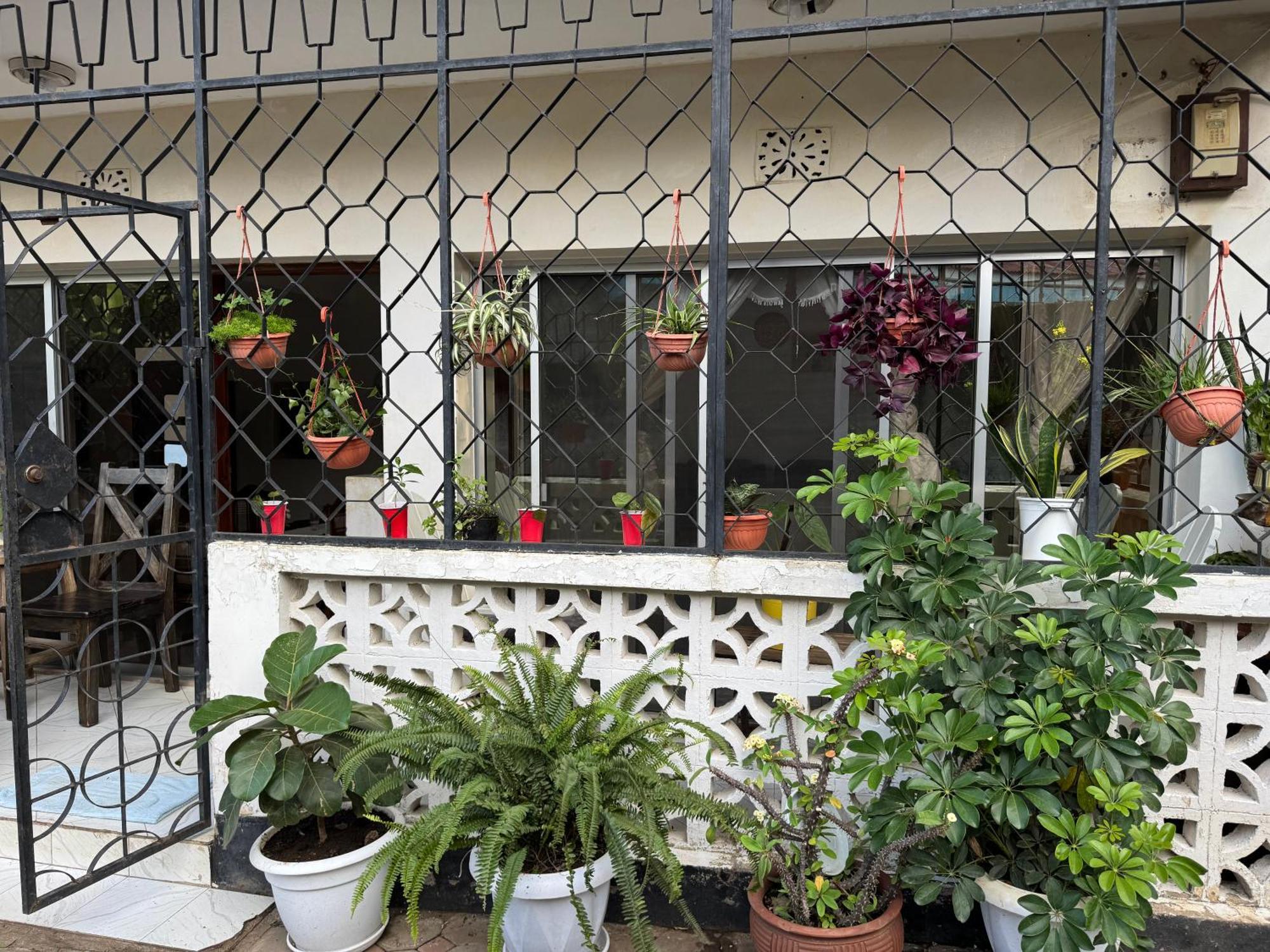 Wakawaka Hostel ארושה מראה חיצוני תמונה